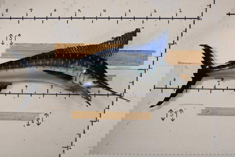 XXL Reproduction MARLIN Fish Mount: Nice XXL Reproduction MARLIN Fish Mount. It measures 8'8" Long. It has a few minor paint scuffs but otherwise it is in Good Condition. TAXIDERMY FISH