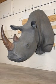 *TEXAS RESIDENTS ONLY* XL *Real Skin* WHITE RHINOCEROS Shoulder Mount with Reproduction Horns