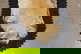 item-209902780=10
