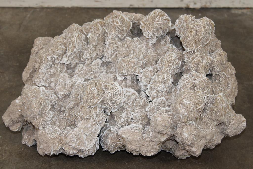 XXL 40 lb "Desert Rose" GYPSUM and Selenite Crystal Formation (1 of 9)