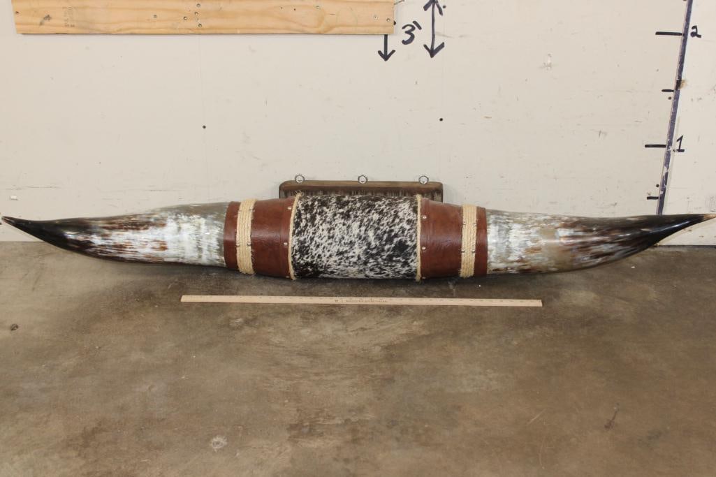 XL Polished and Mounted WATUSI Horns (1 of 6)