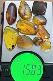 (10) Pieces of Authentic Myanmar AMBER Fossil Insect Specimens, Weight: 15.03 g (ONE$)