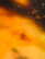 item-209902833=5