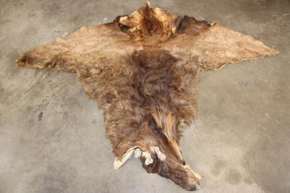 ELK Cape for a Taxidermy Shoulder Mount