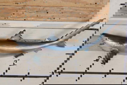 Reproduction SAND TIGER SHARK Mount