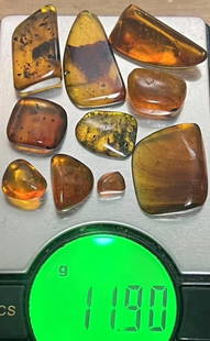(10) Pieces of Authentic Myanmar AMBER Fossil Insect and Plant Specimens, Weight: 11.9 g (ONE$): 10 Pieces of Authentic Myanmar AMBER Fossil Specimens with Insects inside. The Total Weight is 11.9 grams and they come with a display case as shown. These were mined in Burma and are approximately 99
