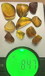 (10) Pieces of Authentic Myanmar AMBER Fossil Insect and Plant Specimens, Weight: 8.47 g (ONE$): 10 Pieces of Authentic Myanmar AMBER Fossil Specimens with Insects inside. The Total Weight is 8.47 grams and they come with a display case as shown. These were mined in Burma and are approximately 99