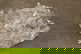 item-209902933=7