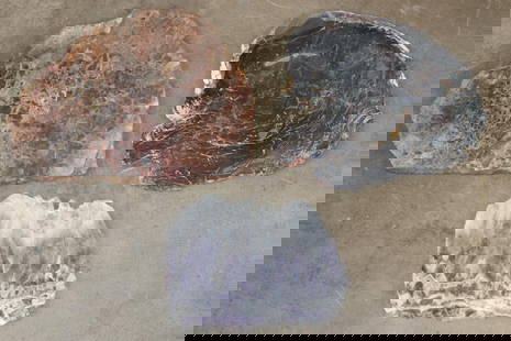 (3) Mineral Slab Slices (ONE$): 3 Mineral Slab Slices. 1 JASPER Slice, 1 PETRIFIED FOSSILIZED Wood Slice, and 1 DREAM AMETHYST Slice. The Total Weight is 6 lbs 4 oz. (ONE$) ROCKS FOSSILS MINERALS