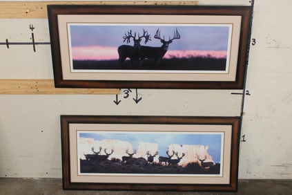 (2) Large Cabela's Edition Art Photo Prints by Robert King for King's Outdoor World 2002 (ONE$)