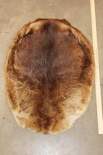 BEAVER Hide or Pelt: BEAVER Hide/Pelt/Fur. It measures 30" Long x 22" Wide. There is a small tear but it is in otherwise Good Condition. TAXIDERMY HIDES&nbsp;
