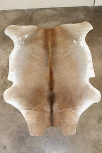 "Brand New* Colombian Palomino COW HIDE: "Brand New* Colombian Palomino COW HIDE. It measures 73.5" Long x 60.5" Wide. TAXIDERMY