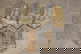 item-209902981=1