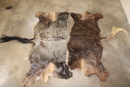 (1) BLACK WILDEBEEST Back Hide and (1) BLUE WILDEBEEST Back Hide (ONE$)