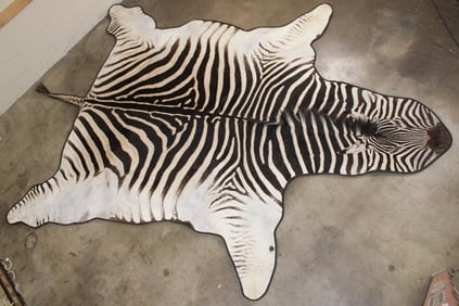 ZEBRA Rug with a Carpet Backing, Haning Loops, and Leather Piping