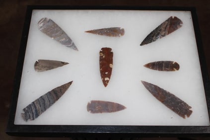 (9) Flint Spear Point ARROWHEADS in a Display Case (ONE$)