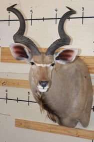KUDU Shoulder Mount