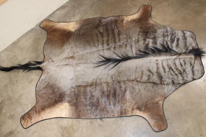 BLUE WILDEBEEST Hide Rug with Leather Piping, a Canvas Backing, and Hanging Loops