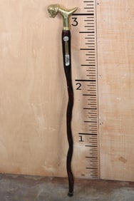 Ross Taylor Original CANE "Made from the Reproductive Organ of a Buffalo"