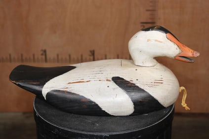 "Maine Style Eider with Clam" Wood Duck Signed by John A. Nelson 1983 with a Removable Swivel Head