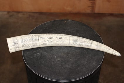 "The Bark Veronica out of New Bedford" Reproduction Scrimshawed WALRUS TUSK