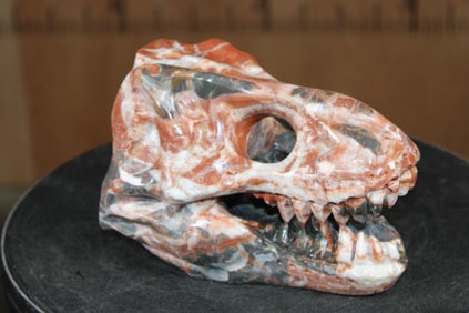 CRAZY LACE AGATE Hand-carved Tyrannosaurus Rex Skull