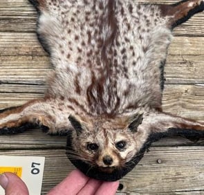 Large SPOTTED GENET CAT Rug with a Felt Backing