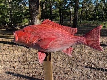 *New in Box* XXL Reproduction RED SNAPPER Fish Mount