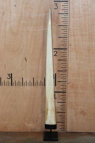 SWORDFISH BILL on a Custom Metal Display Stand