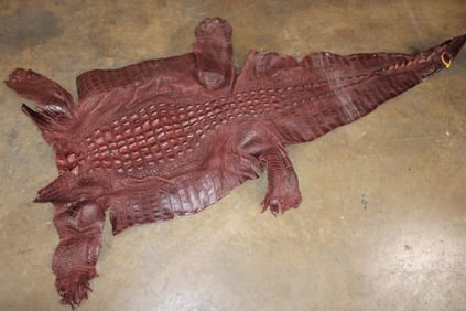 Soft and Tanned CROCODILE Hide