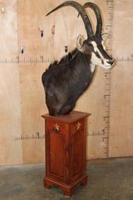 Big SABLE Pedestal Mount
