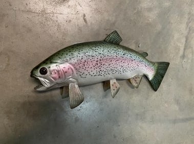 *New in Box* Reproduction RAINBOW TROUT Fish Mount