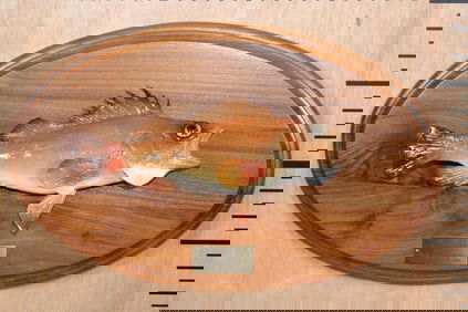 *Rarely Seen* Real Skin VERMILION ROCKFISH on a Wood Plaque