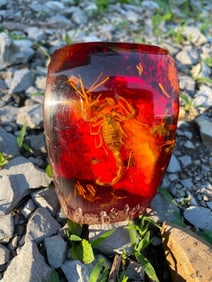 *Real SCORPION* Specimen in Simulated Amber