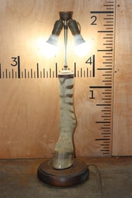 ZEBRA Hoof Lamp with No Lamp Shade