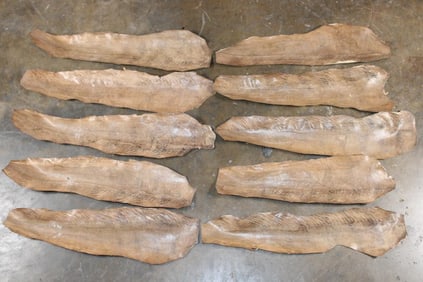 (10) EEL Skins (ONE$)