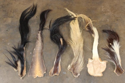 (6) African Animal TAILS (ONE$)
