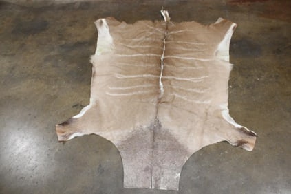 KUDU Hide
