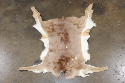STEINBOK Hide