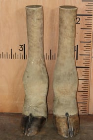 Pair (2) Mounted GIRAFFE Legs (ONE$)