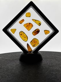 (10) Pieces of Authentic MYAMAR AMBER from Burma (ONE$)