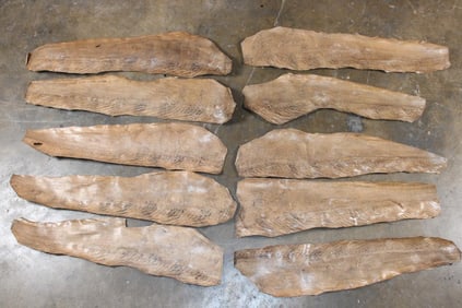 (10) EEL Skins (ONE$)
