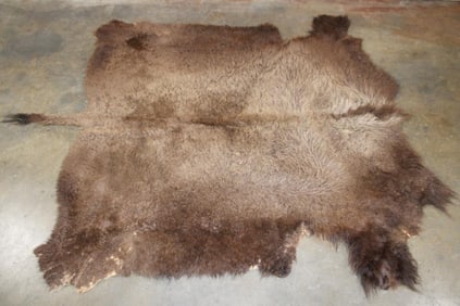 Big BUFFALO or BISON Hide
