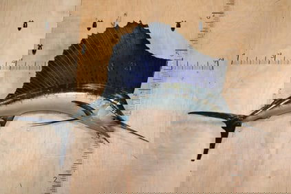 Reproduction SAILFISH Mount