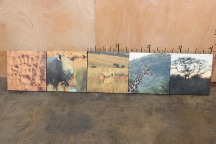 (5) Matching Africa PHOTOGRAPHS on Canvas (ONE$)