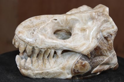Hand-carved AGATE Tyrannosaurus Rex Skull