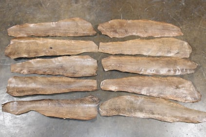 (10) EEL Skins (ONE$)