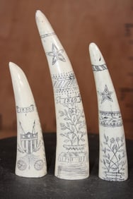 Set of (3) Reproduction Scrimshawed WALRUS TUSKS (ONE$)