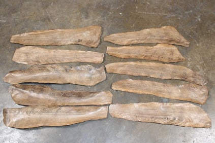 (10) EEL Skins (ONE$)