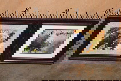 (1) ELEPHANT and (1) RHINOCEROS Photograph in Matching Wood and Glass Frames (ONE$)